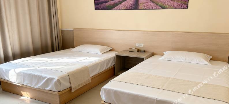 来宾艾乐时尚酒店图片