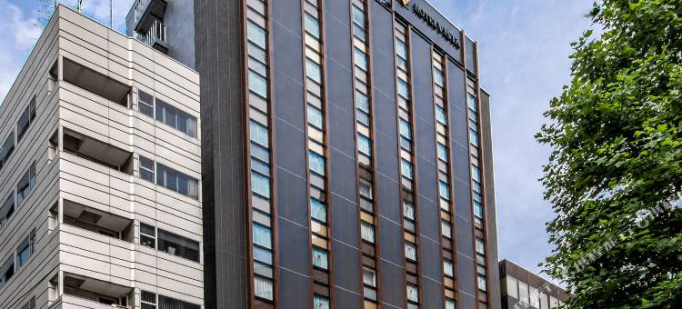 东京筑地维斯塔酒店(HOTEL VISTA TOKYO Tsukiji)图片