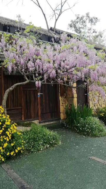 南麓·Forest度假酒店(重庆南山风景区店)图片