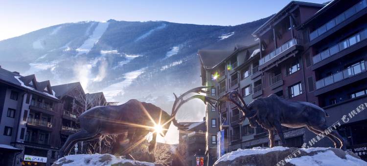 雪怪酒店(吉林万科松花湖滑雪旅游度假区店)图片