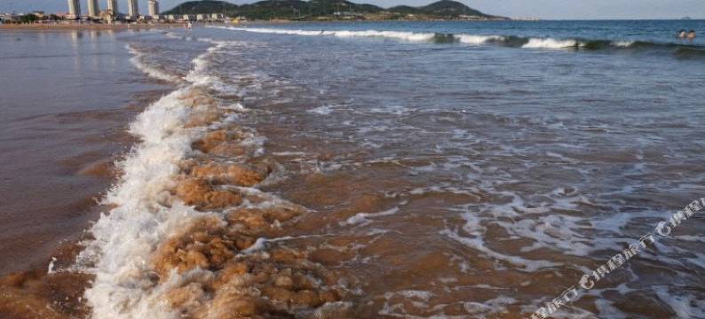 青岛玛莉亚商务宾馆图片