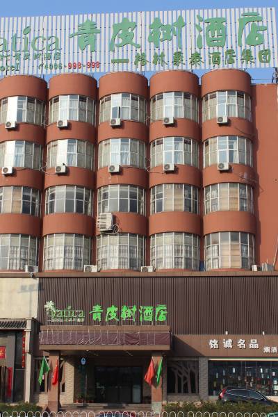 青皮树酒店(合肥徽州大道店)图片