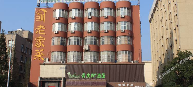 青皮树酒店(合肥徽州大道社科院店)图片