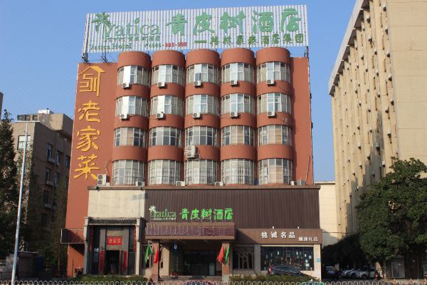 青皮树酒店合肥徽州大道店