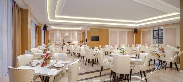 维也纳酒店(河源东源黄村温泉店)图片