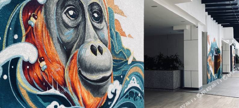 K Avenue Studio Type图片