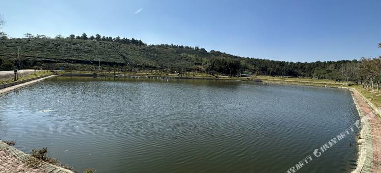 南京花美时酒店图片