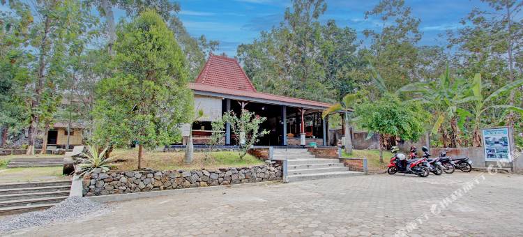 O酒店 MTC双层床(Hotel O Mtc Bunk Bed)图片