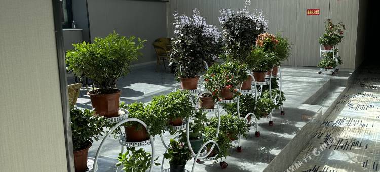 安多城轩酒店图片