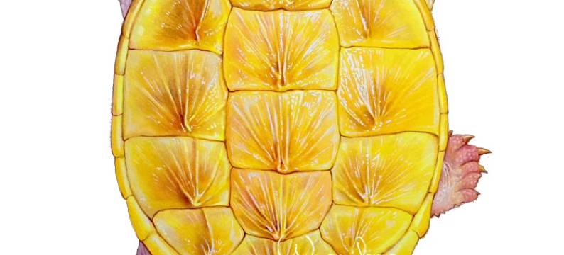 循化明福商务大厦图片