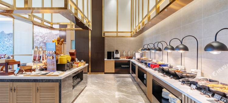 维也纳国际酒店(芜湖湾沚高铁站店)图片