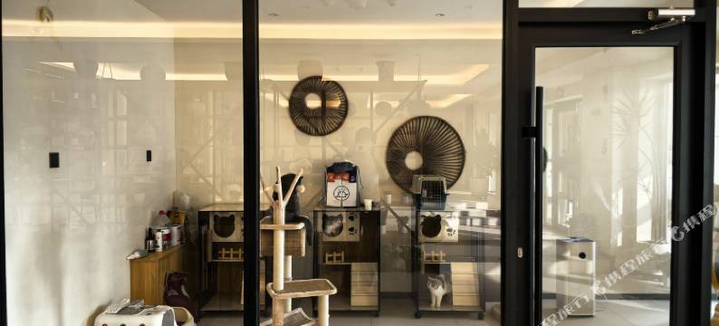 考拉·云朵酒店(德港万达天山机场店)图片