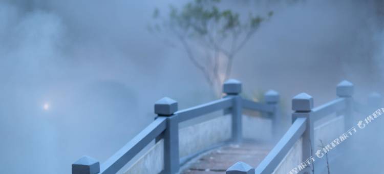 宜春栖韵温泉度假酒店(温汤店)图片