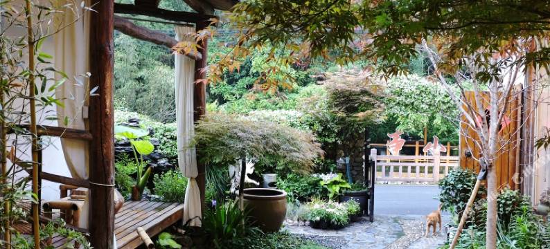 橙事小院民宿(莫干山国际旅游度假区店)图片