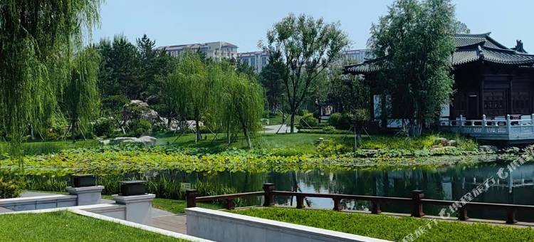 金孔雀都市花园国际酒店(雄安新区容城政务中心店)图片