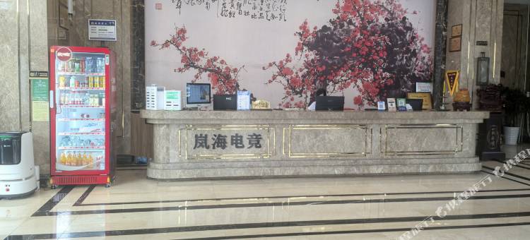 岚海电竞民宿(北塔区政府汽车北站店)图片