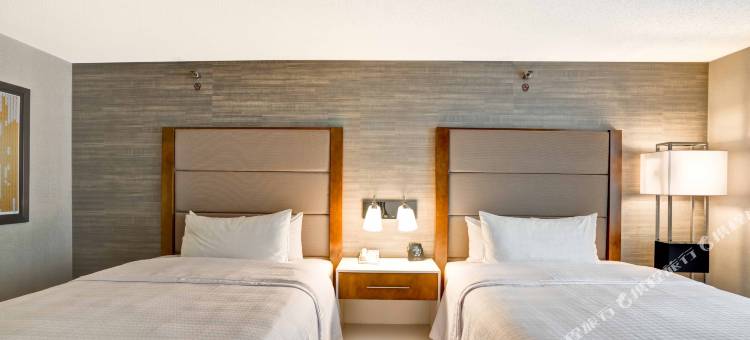 Homewood Suites by Hilton-芝加哥市中心(Homewood Suites by Hilton Chicago Downtown)图片