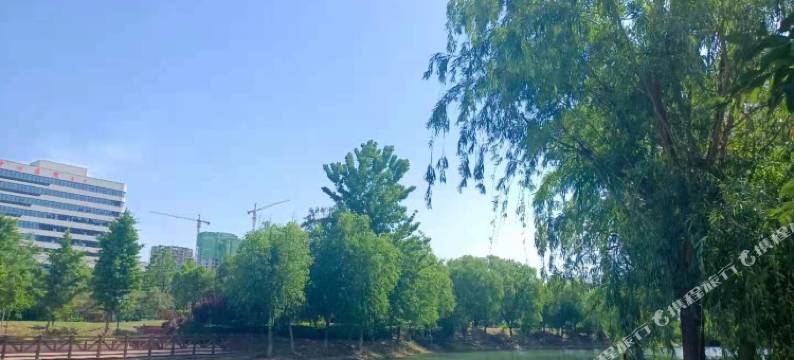 晴天民宿(新乡高铁东站店)图片