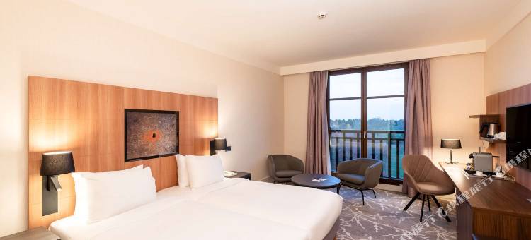 巴黎马恩河谷丽笙蓝标酒店(Radisson Blu Hotel Paris, Marne-la-Vallée)图片