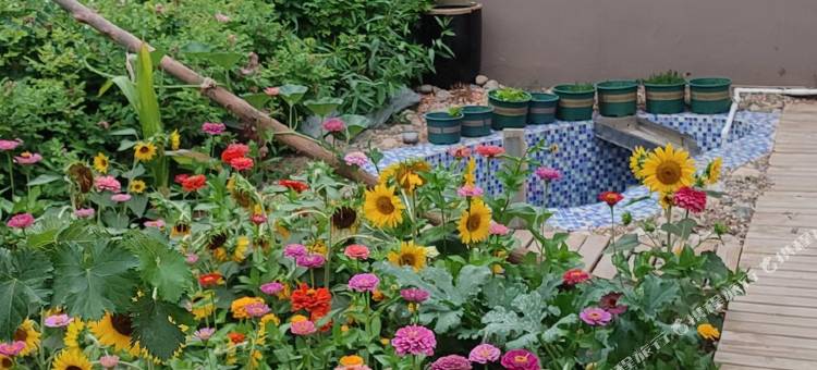 湖印大酒店图片