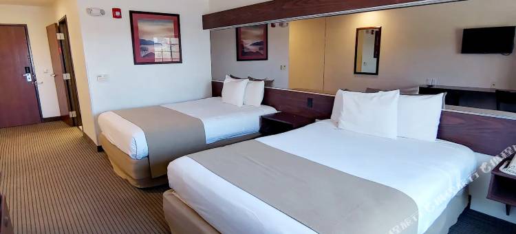 Microtel Inn & Suites by Wyndham San Luis Potosi图片