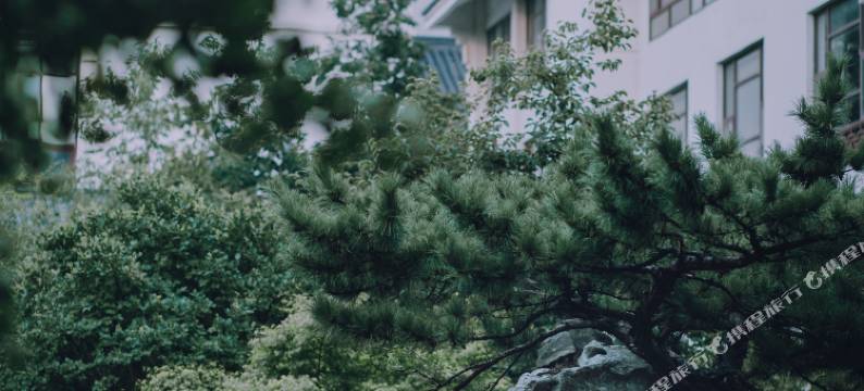 苏州静思园大酒店图片