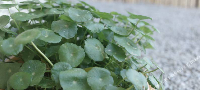 橙子青年旅舍(陶溪川店)图片