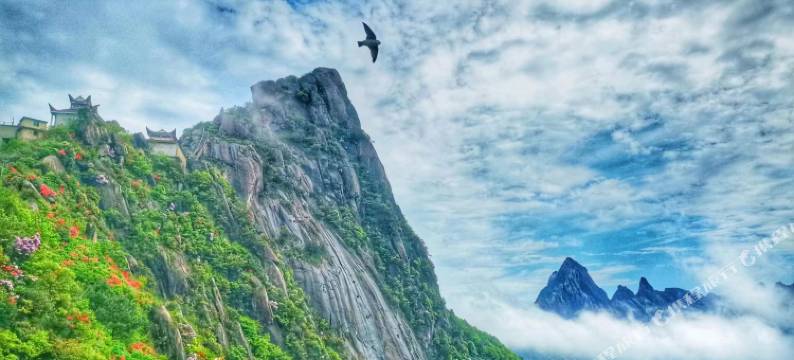 Newlife·满意山居精品民宿(望仙谷风景区店)图片