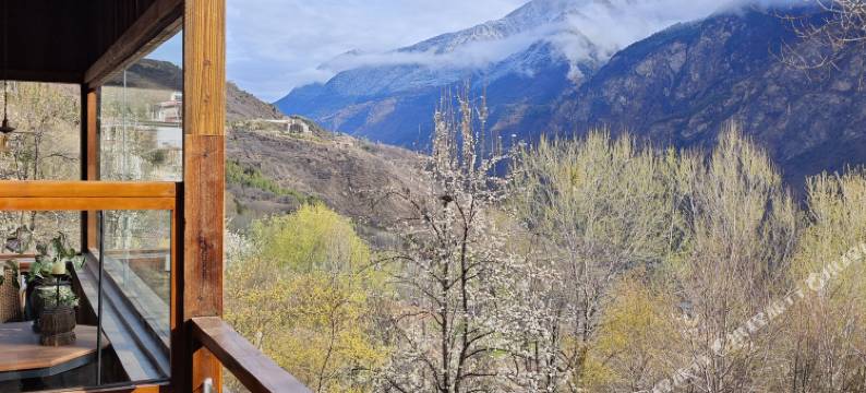 山的禅｜山的书房图片