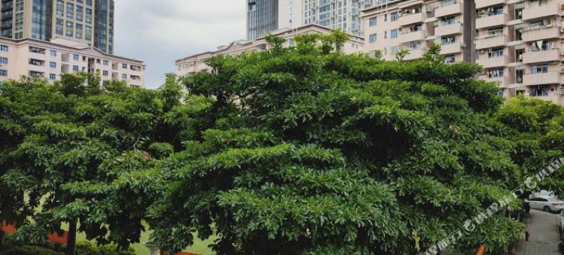 东莞适而简商务酒店图片