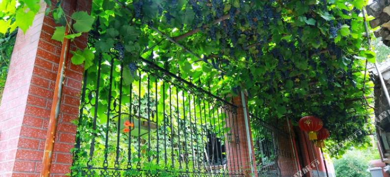 慕田峪长城弗农山庄图片