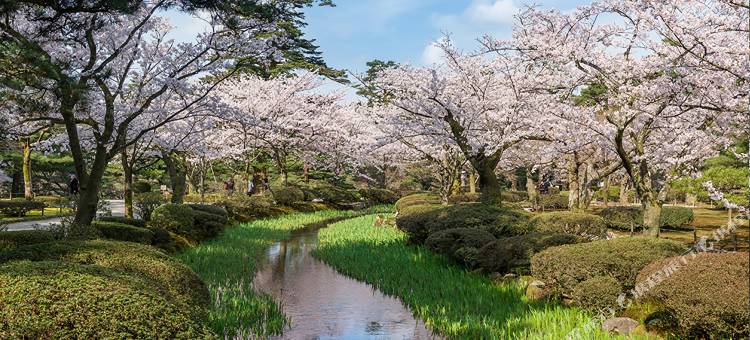金泽百万石通托里菲托&波德酒店(Torifito Hotel &Pod kanazawa)图片