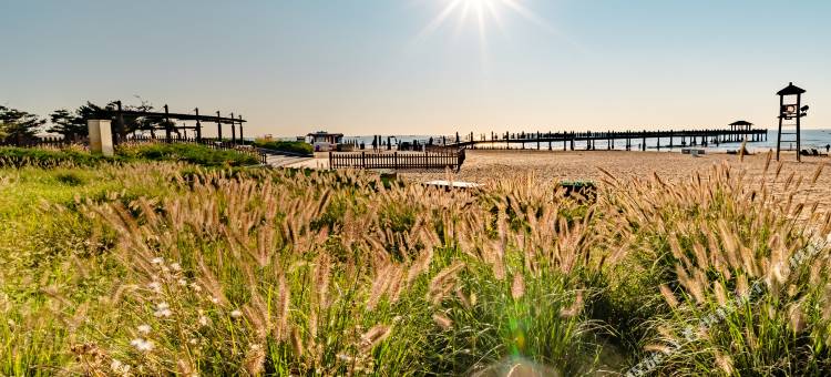 秦皇岛翼图金海岸海景酒店(南戴河仙螺岛店)图片