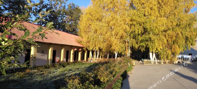 富蕴泽桦宾馆图片