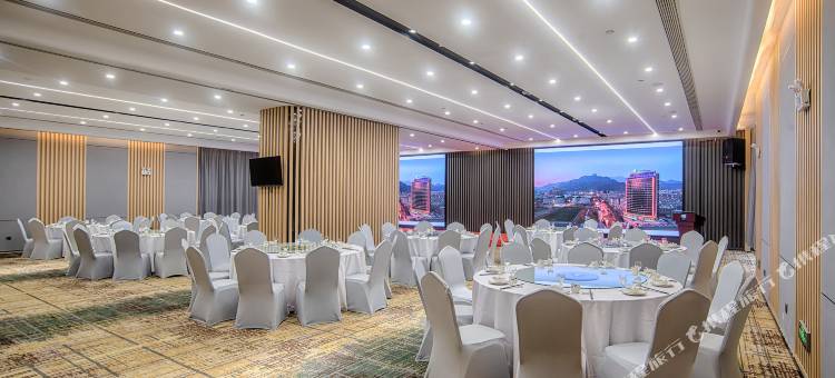 泰安中心智选假日酒店图片