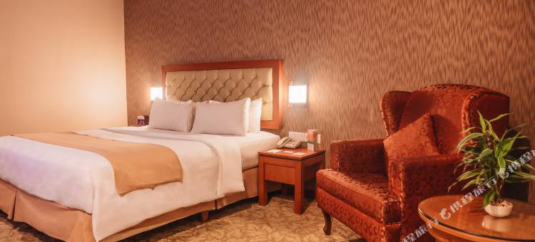 北干巴鲁 SKA 瑞士贝尔旅店(Swiss-Belinn Ska Pekanbaru)图片