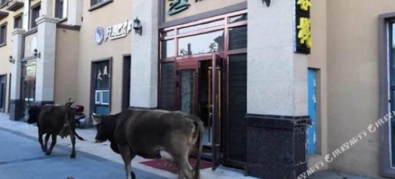 那拉提有间民宿图片