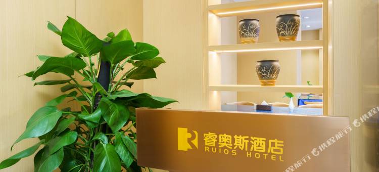 睿奥斯酒店图片