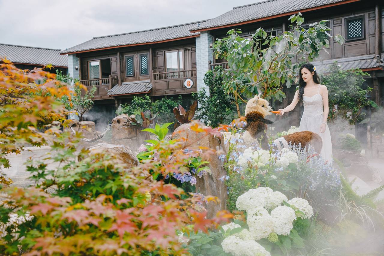 柏乐朗·PARALLOGE大研心林雪山悬崖泳池酒店(丽江古城南门木府店)图片