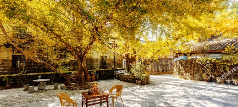 腾冲诗意栖居温泉精品民宿(银杏村店)图片