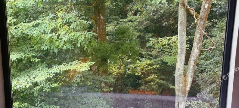 松阳梨庭别院民宿图片