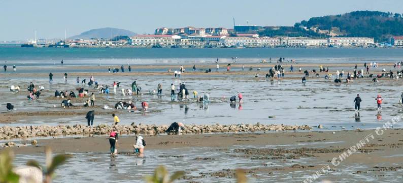 临海美墅·潮汐民宿图片