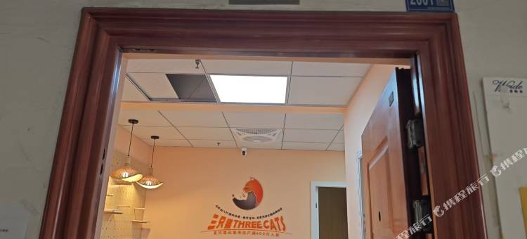 三只猫青年旅社(武汉摩尔城王家湾地铁站店)图片