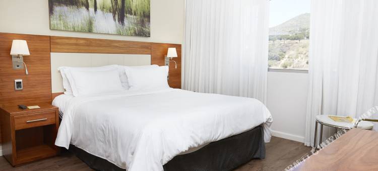 开普敦上东区希尔顿逸林酒店(DoubleTree by Hilton Cape Town - Upper Eastside)图片