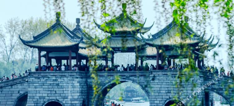 扬州东关街皮市街碧园酒店图片