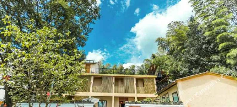 南山竹海芈呈·泡泡温泉度假庭院图片