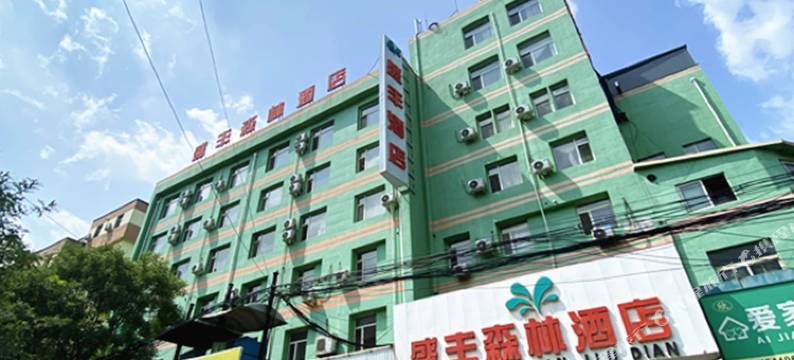 盛丰森林酒店(青年大街地铁站店)图片