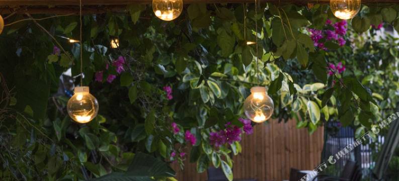 厦门2号公社图片