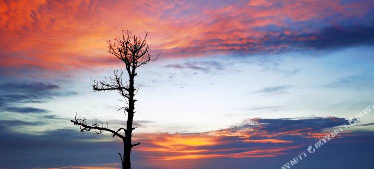涠洲岛M·海景泳池民宿(五彩滩店)图片