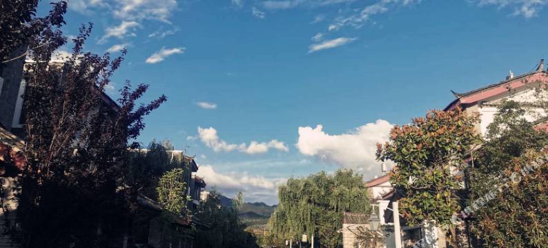 丽江自由生长艺术客栈图片